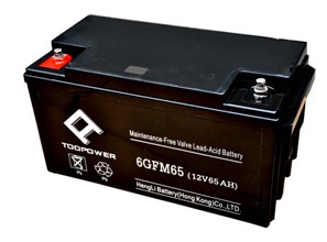 天力蓄电池6GFM65.jpg